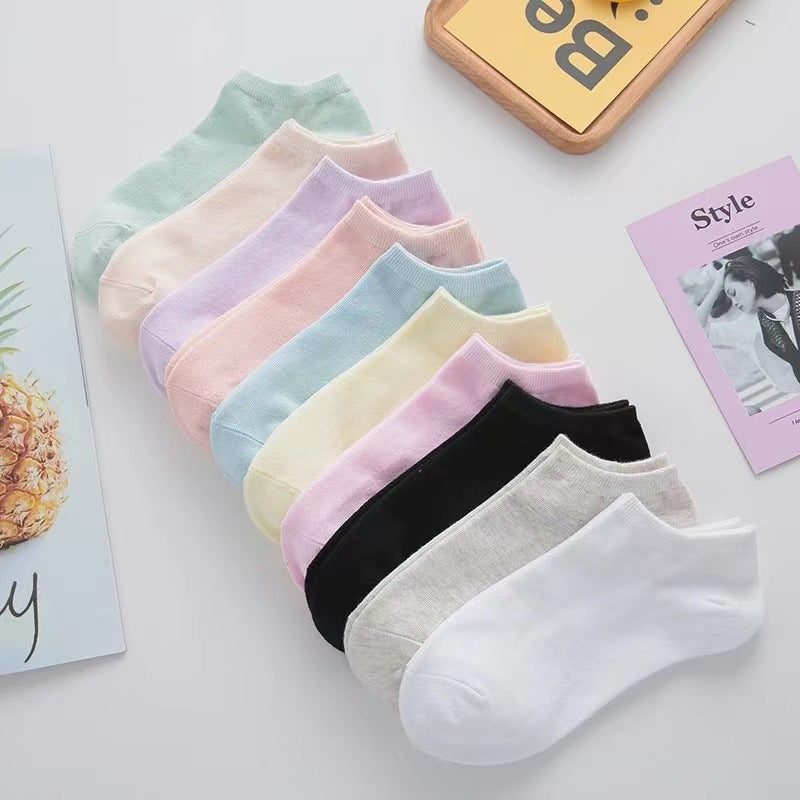 (Pack of 10)-Cotton Socks | Breathable & All-Season Fit